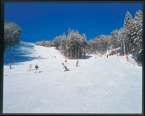 女鹿平温泉めがひらスキー場: 雪と湯の融合が生む新たな旅の形