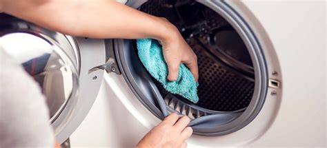 How to Clean Washing Machine Rubber Seal: Why Do Laundry Machines Dream of Electric Sheep?