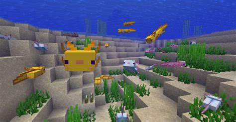 How to Feed Axolotl Minecraft: A Comprehensive Guide to Aquatic Companionship in the Blocky World