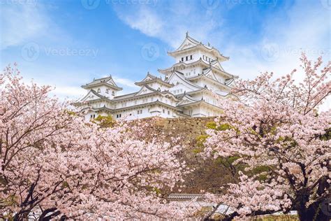 兵庫 おすすめスポット: 神戸の夜景と姫路城の白鷺が交差する不思議な空間