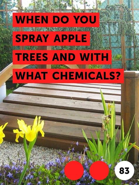 Is it too late to spray apple trees, or should we just let the squirrels handle it?