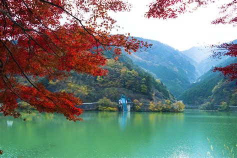 埼玉県 綺麗な川 穴場 ～自然と癒しの隠れスポット～